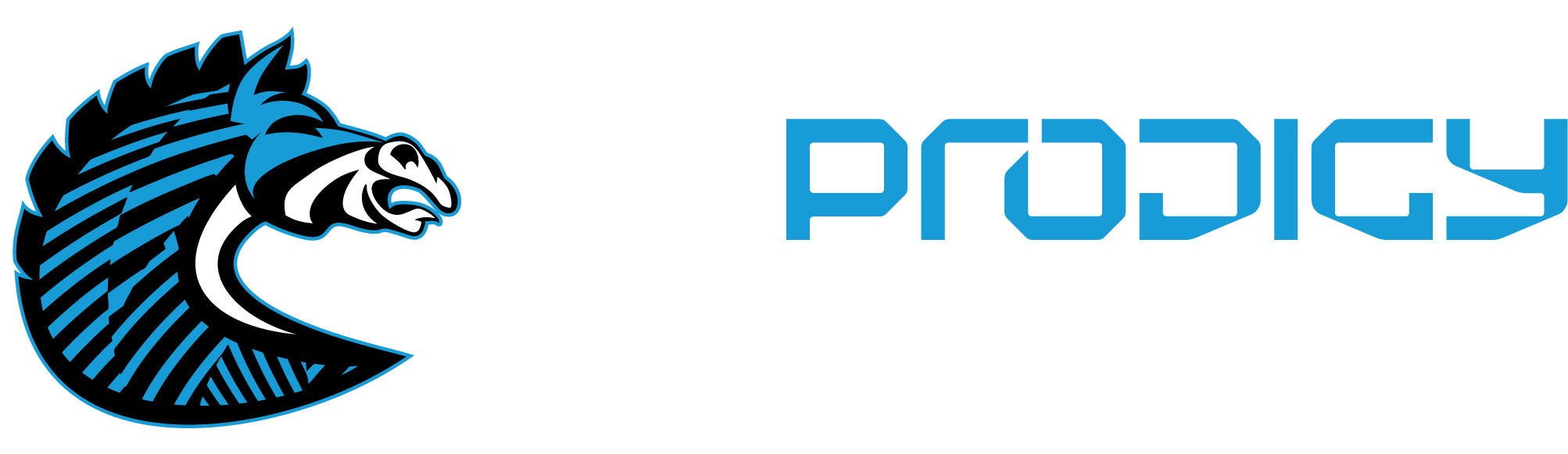 BS+COMPETITION team logo