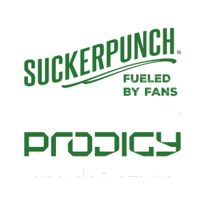 team logo